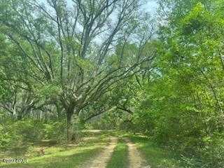 photo 1: Lot 54 Alder Rd Reedy Creek Crossing, Westville FL 32464