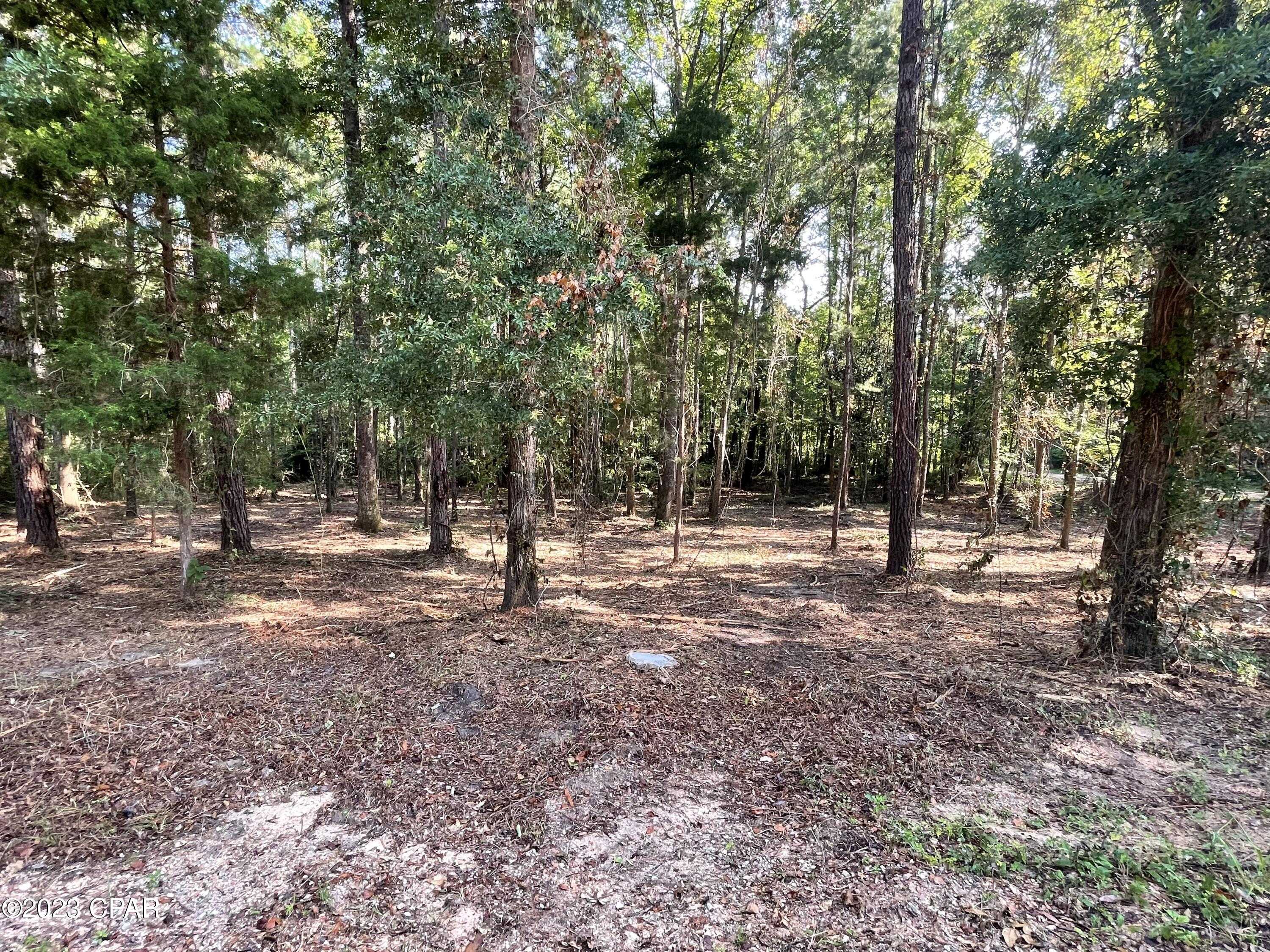 photo 3: Keenkutter Road, Vernon FL 32462