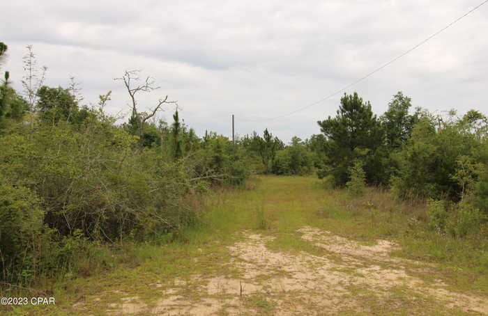 photo 1: 12535 Sweetwater Branch Road, Fountain FL 32438