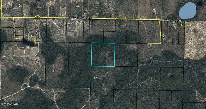 photo 2: NW Camp Head Road, Altha FL 32421