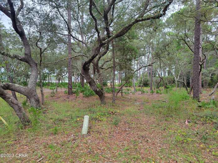 photo 2: 1401 TURTLEBACK TRL, Panama City Beach FL 32413