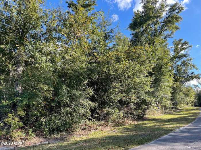 photo 2: 5320 Indian Bluff Drive, Youngstown FL 32466