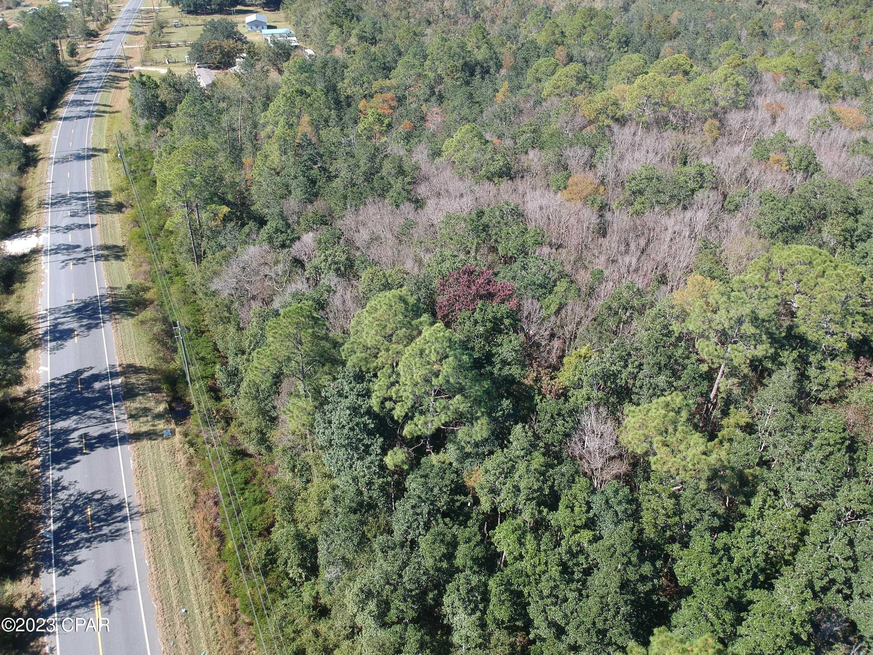 photo 3: TBD Doc Whitfield Road, Wewahitchka FL 32465