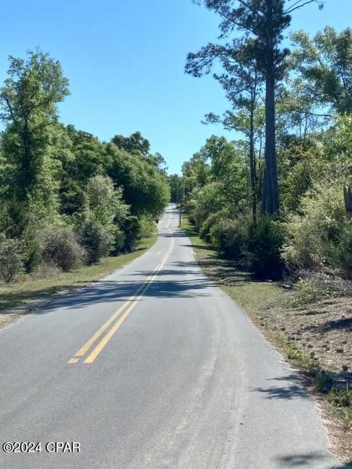 photo 2: NW Tommy Tucker Road, Altha FL 32421