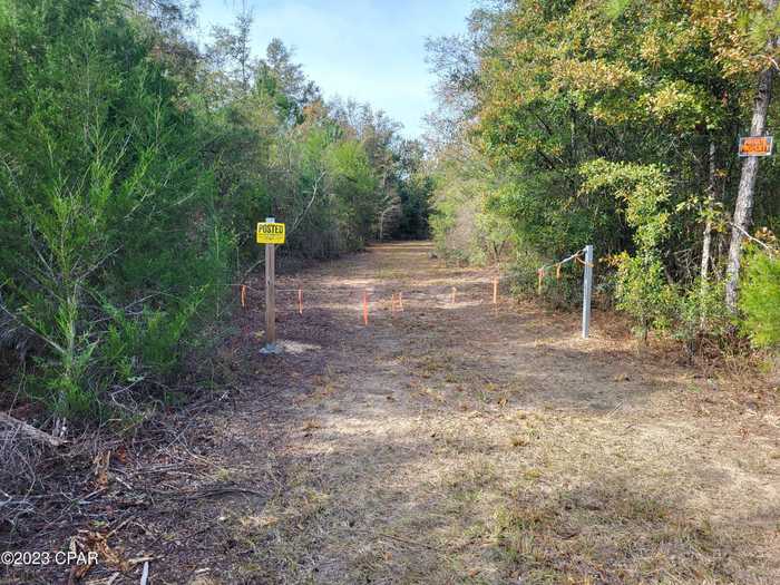 photo 1: NW White Pond Road, Altha FL 32421