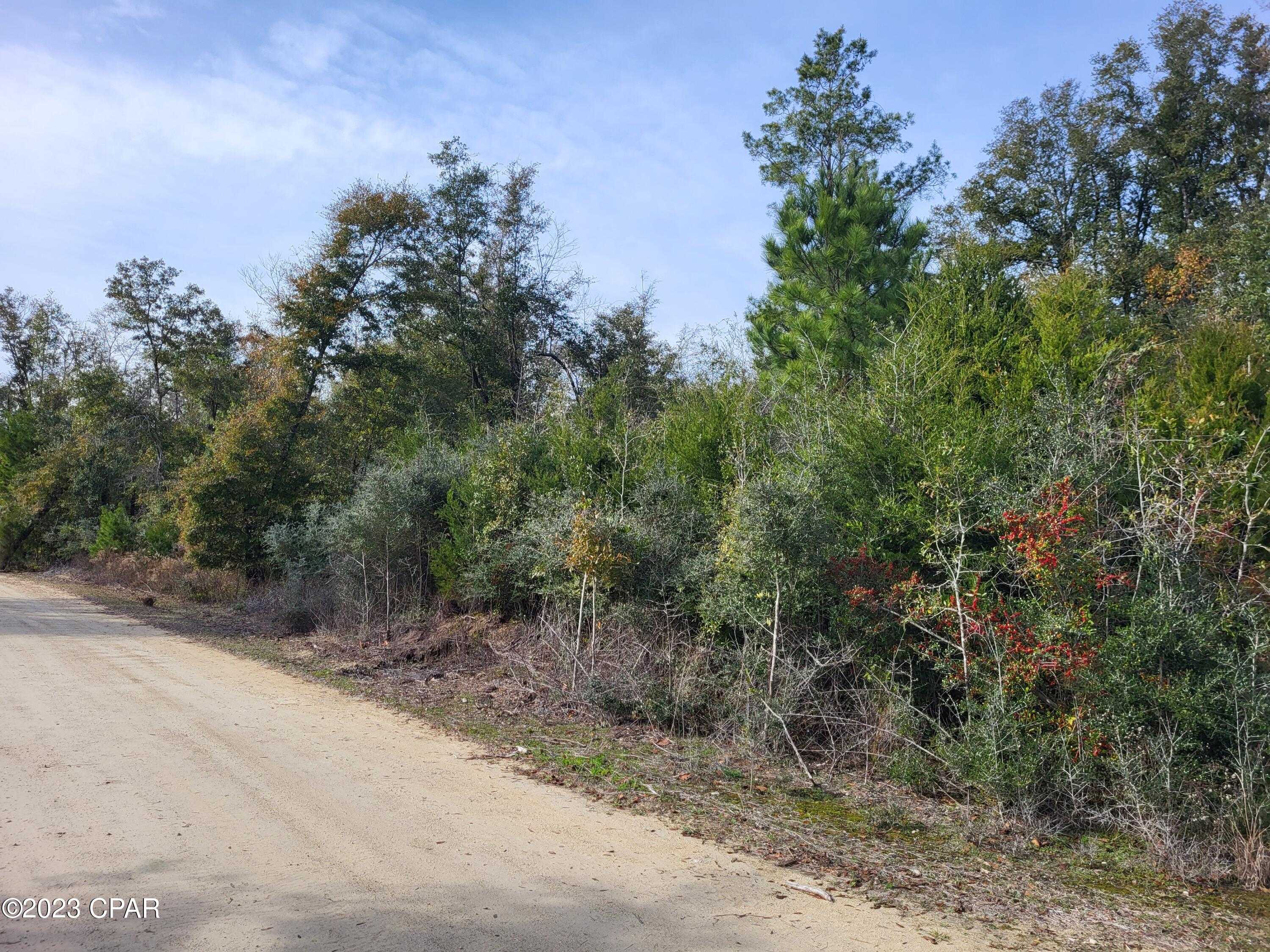 photo 3: 22-2N-1000 NW White Pond Road, Altha FL 32421