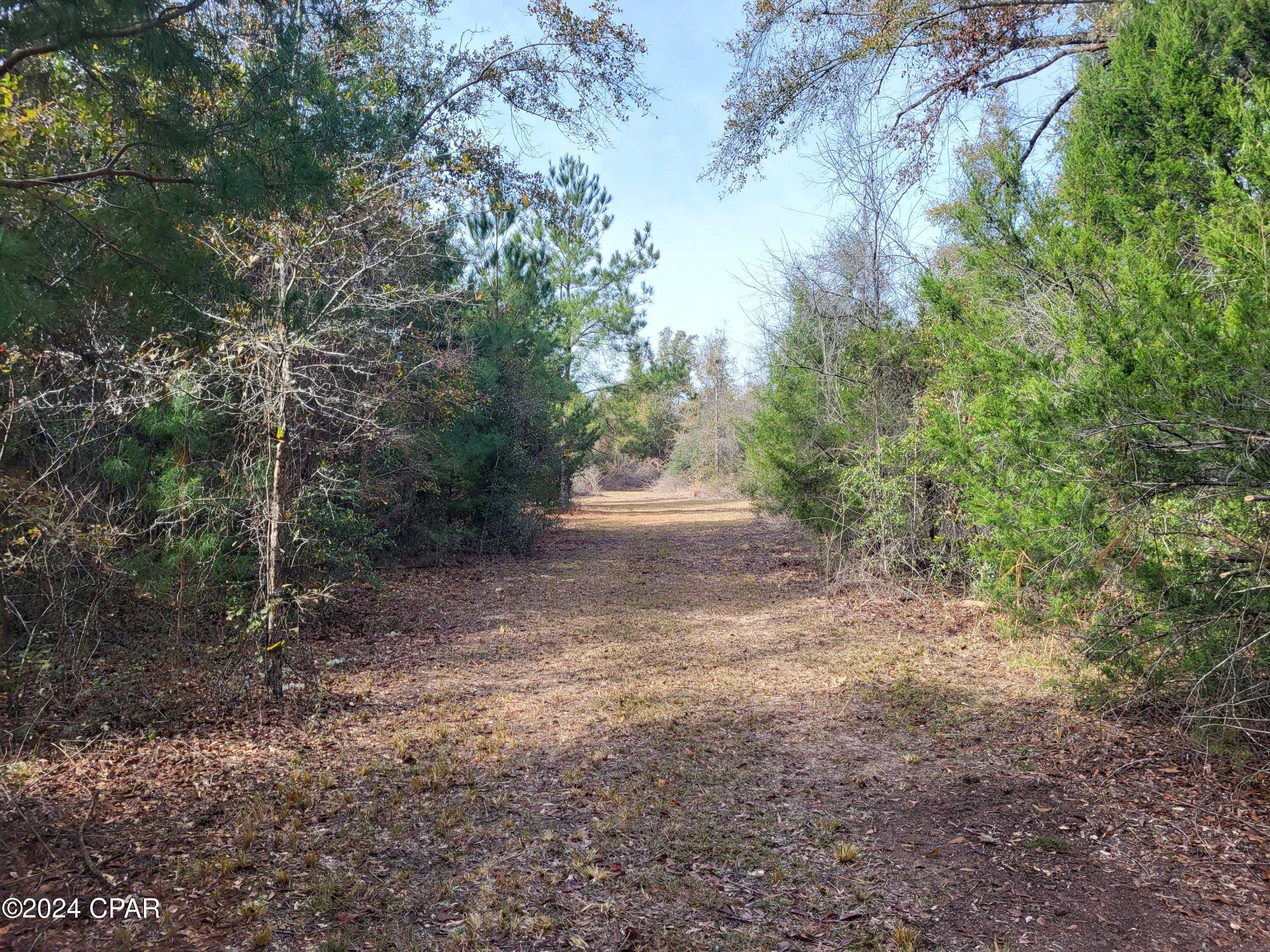 photo 3: Tommy Tucker Road, Altha FL 32421