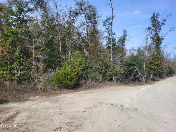 photo 1: Womble Road, Altha FL 32421