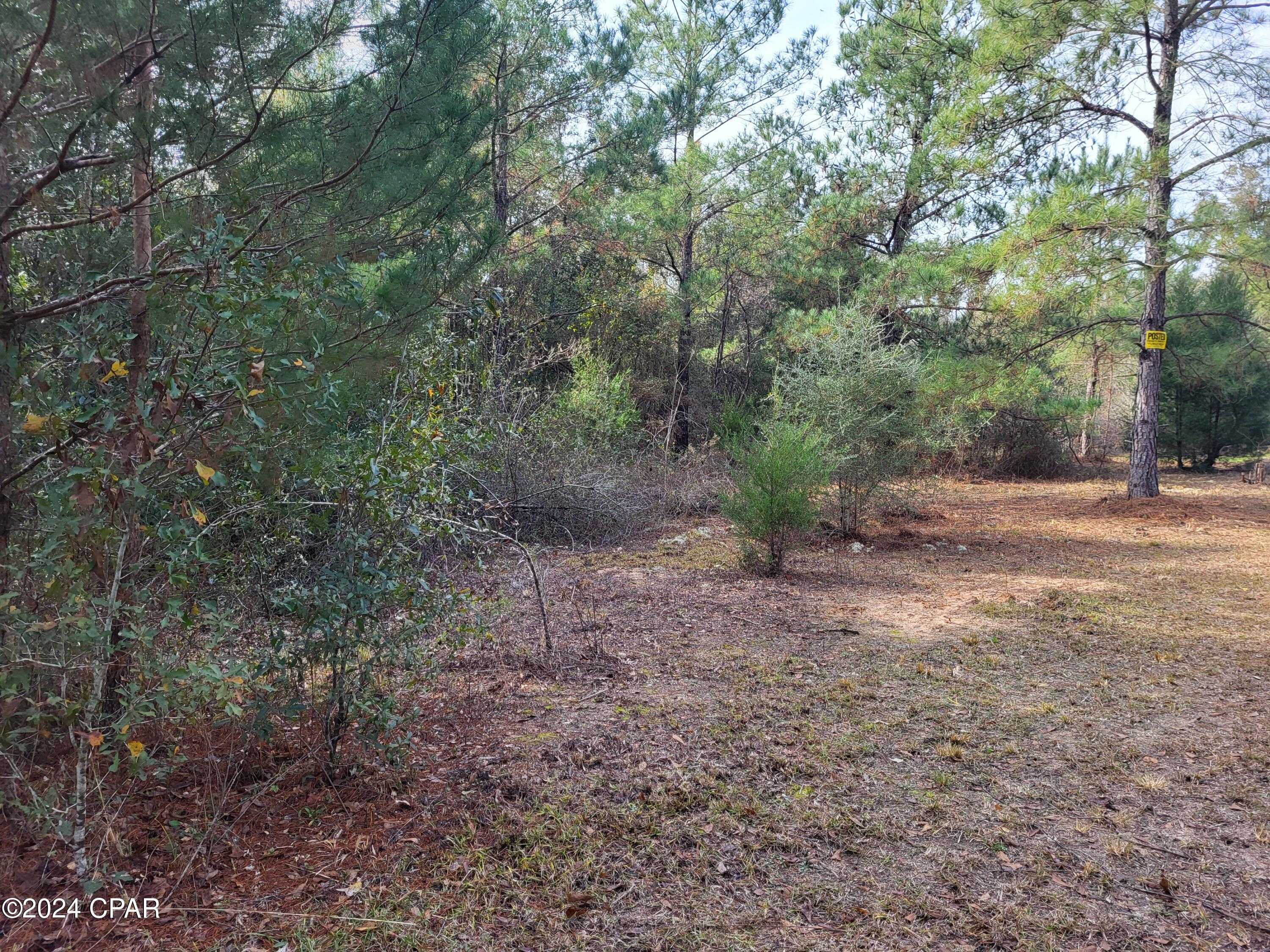 photo 3: Womble Road, Altha FL 32421