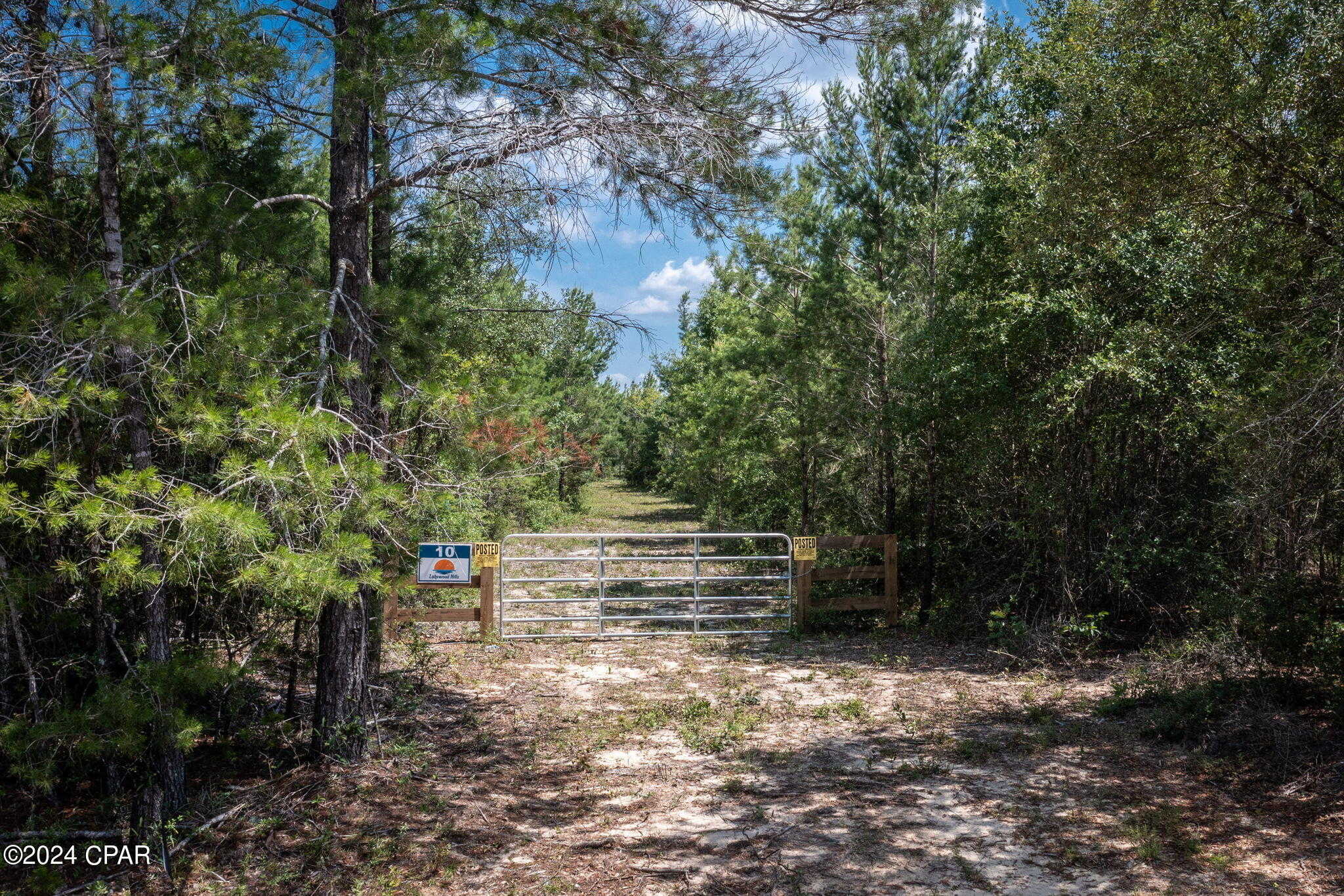 photo 1: TBD Holmes Valley Road, Vernon FL 32462