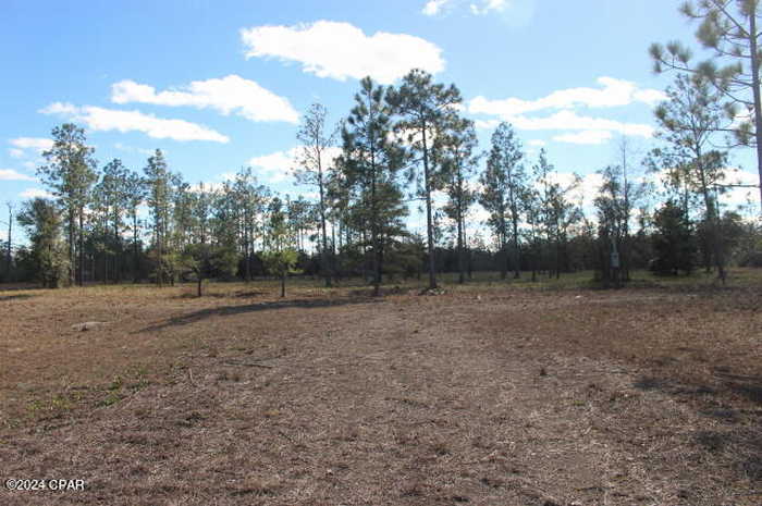 photo 2: 5015 NW County Road 274, Altha FL 32421