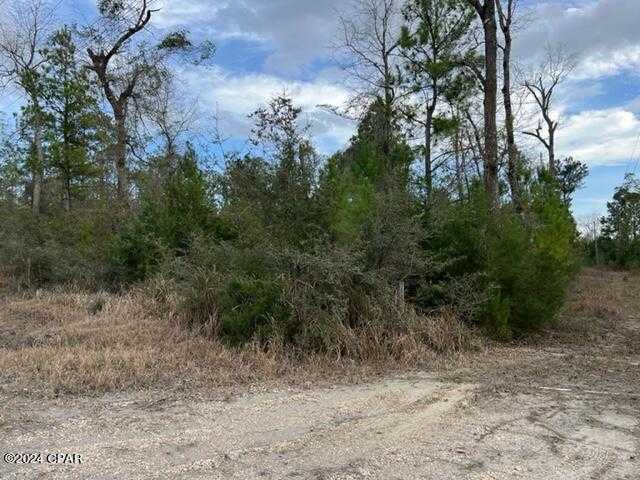 photo 3: 11630 County Line Road, Fountain FL 32438