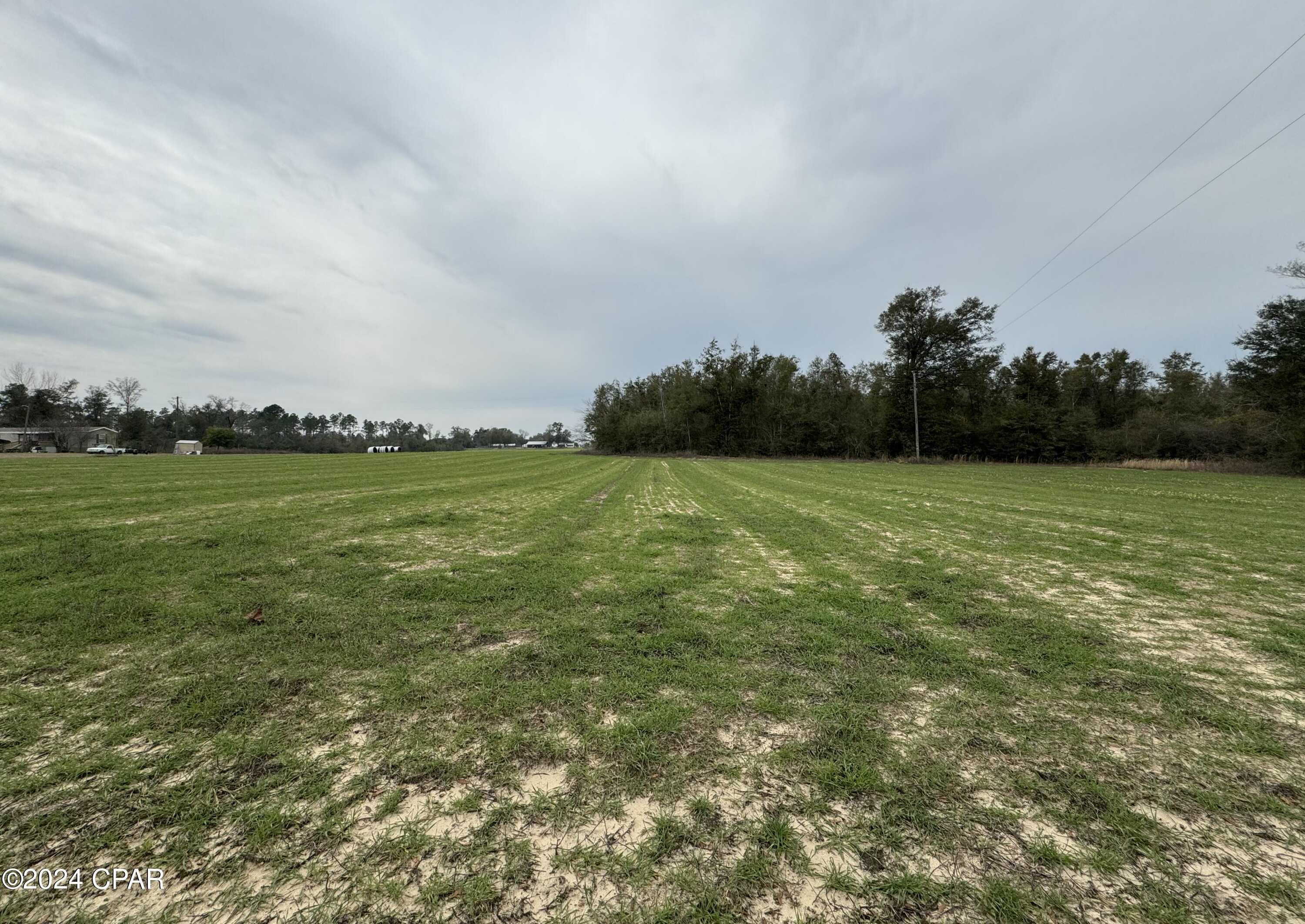 photo 1: Calhoun Road, Greenwood FL 32443