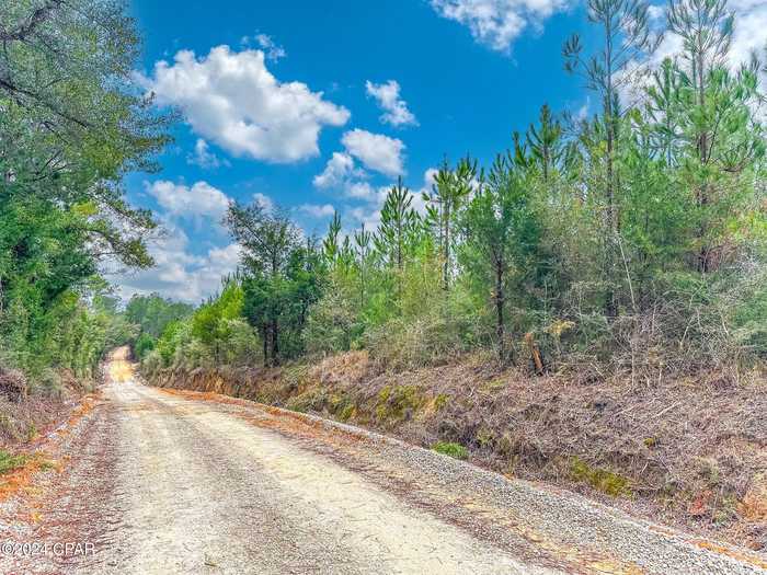 photo 5: Tract 6418 N Union Hill Road, Caryville FL 32427