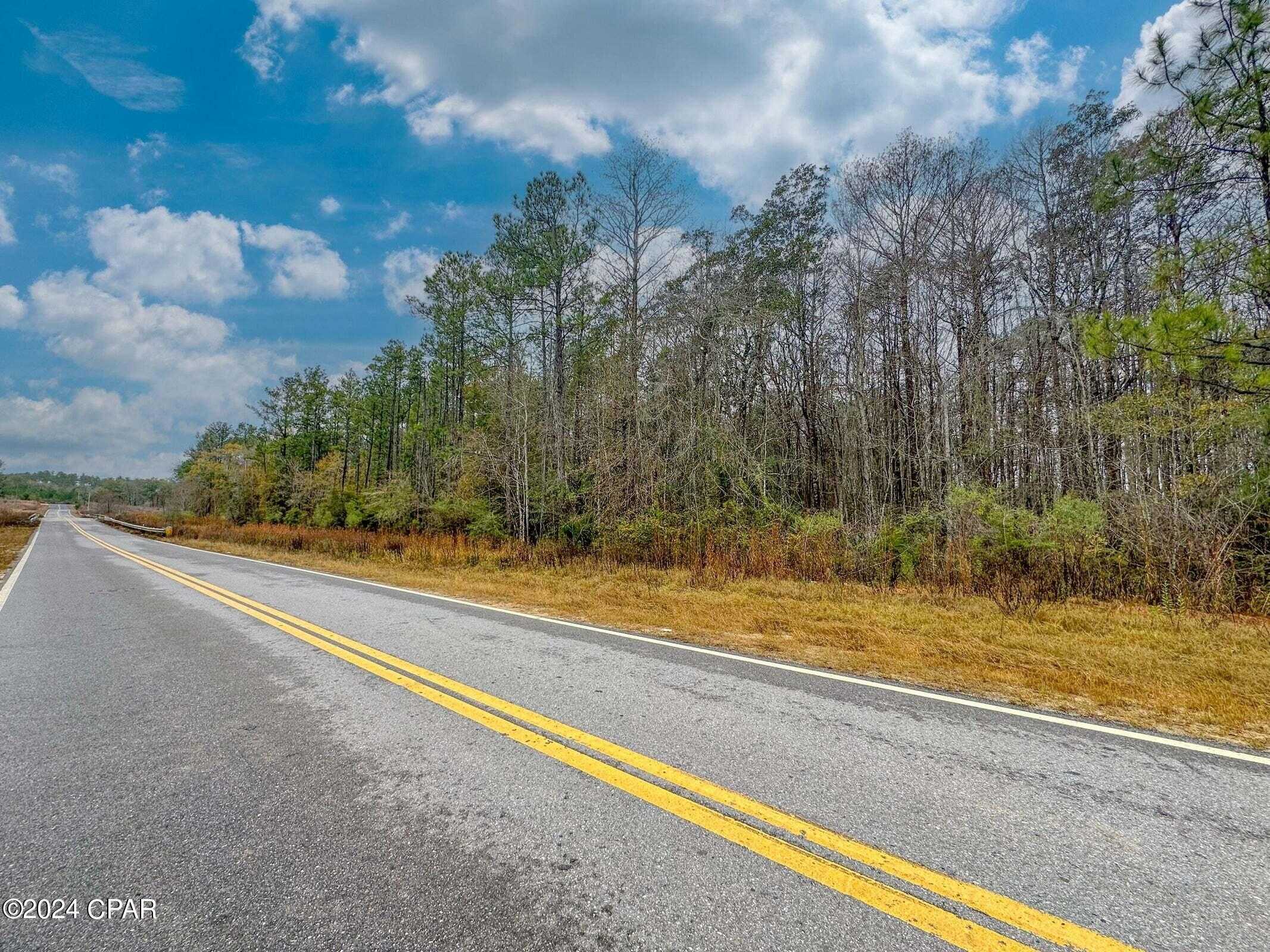 photo 1: Tract 6409 NE River Road, Caryville FL 32427