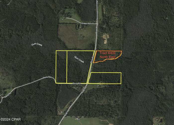 photo 4: Tract 6409 NE River Road, Caryville FL 32427