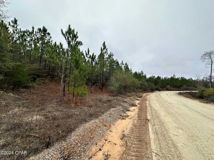 photo 1: Tract 6418 N Mattox Springs Road Unit 5, Caryville FL 32427