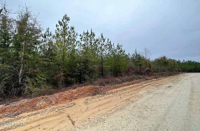 photo 5: Tract 6418 S Mattox Springs Road Unit 4, Caryville FL 32427