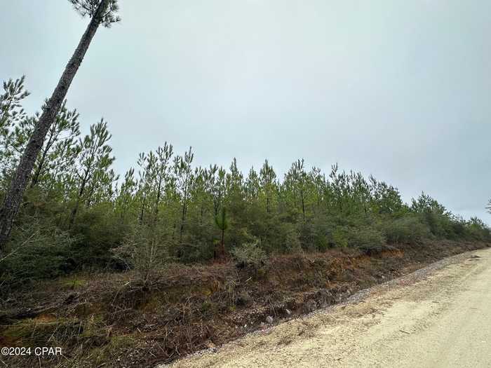 photo 1: Tract 6418 N Mattox Springs Road Unit 1, Caryville FL 32427