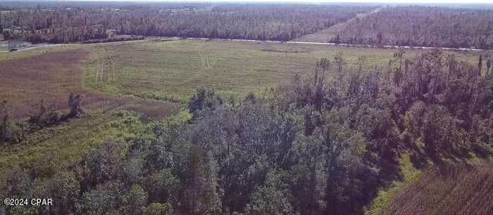 photo 11: N State Rd 71, Altha FL 32421