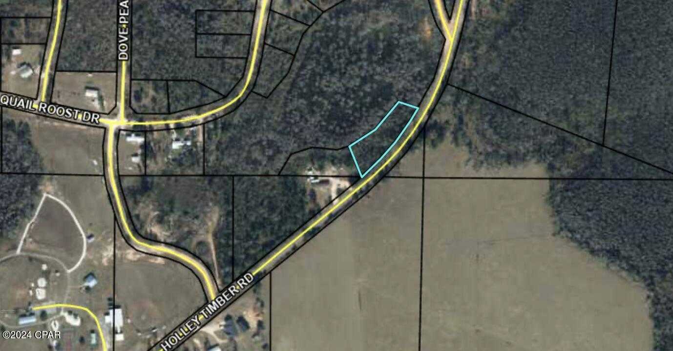 photo 1: Holley Timber Road, Cottondale FL 32431