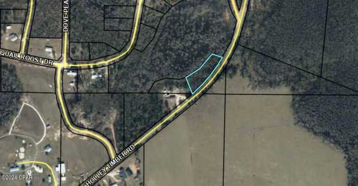 photo 1: Holley Timber Road, Cottondale FL 32431