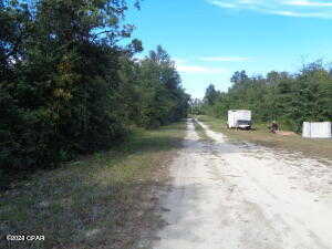 photo 2: Lot 7&8 NW Lake Mckenzie Boulevard, Altha FL 32421