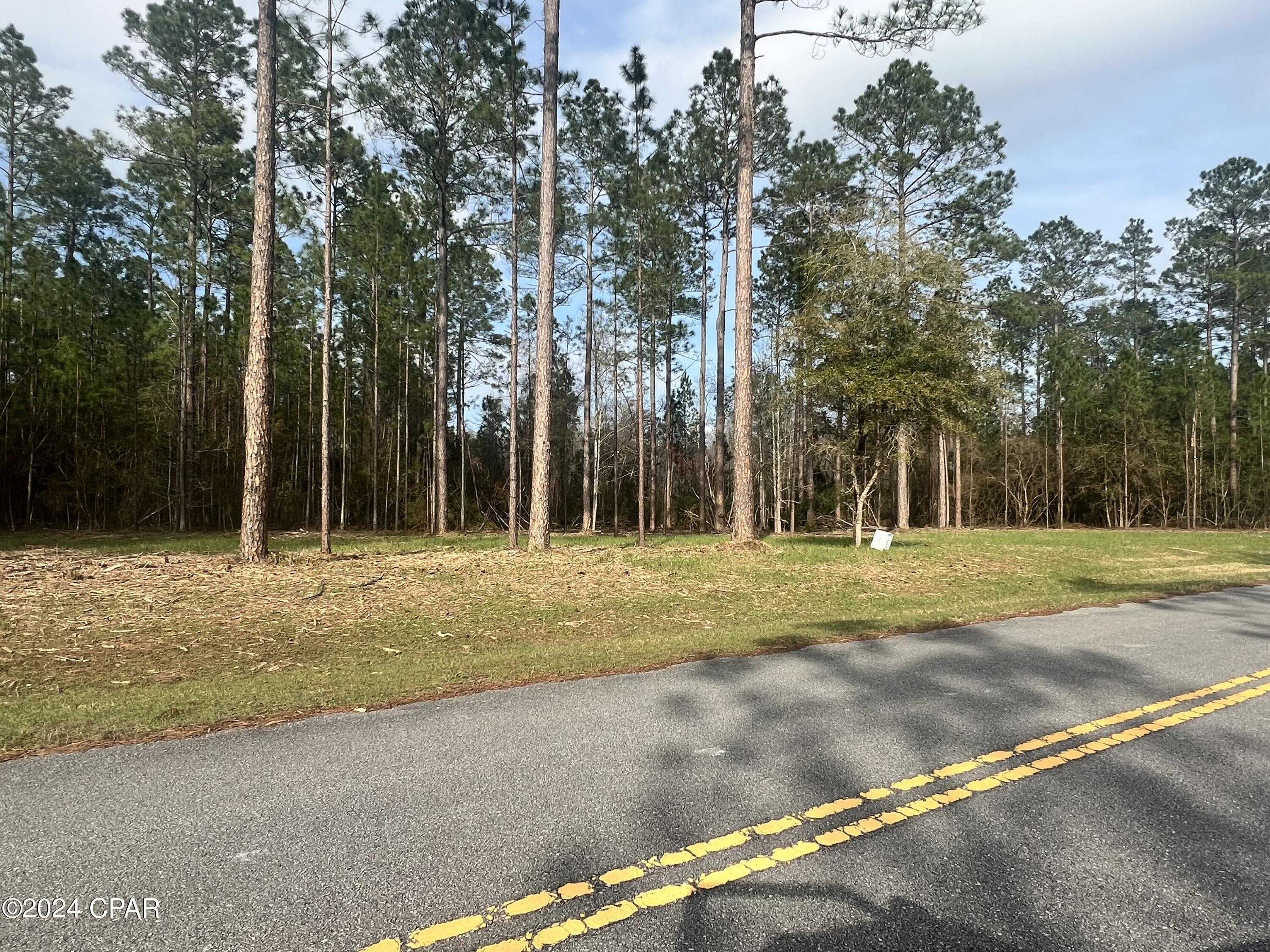 photo 1: Cypress Crossing Road, Vernon FL 32462