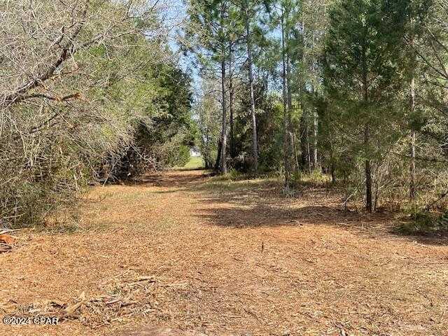 photo 3: Sheffield Drive, Marianna FL 32446