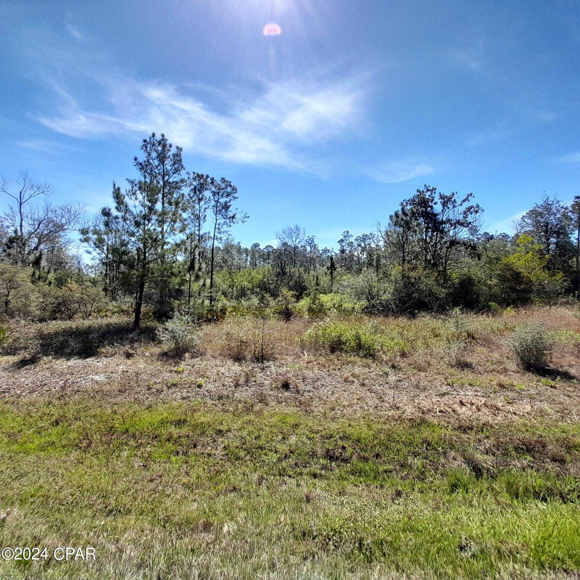 photo 3: XXX NW Barksdale Lane, Fountain FL 32438