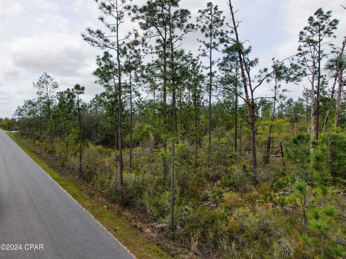 photo 5: Cowels Road, Fountain FL 32438