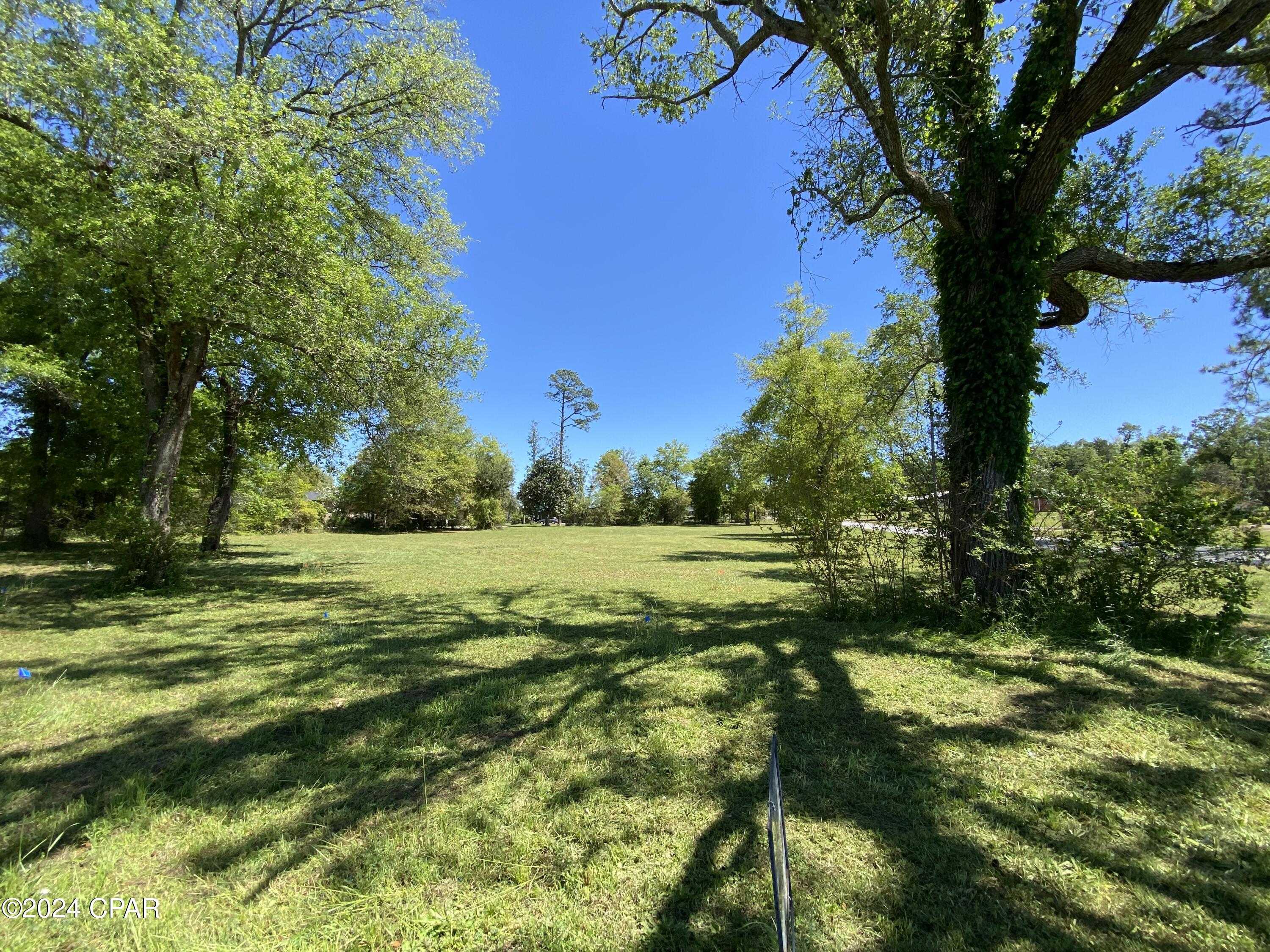 photo 3: Caverns Road, Marianna FL 32446