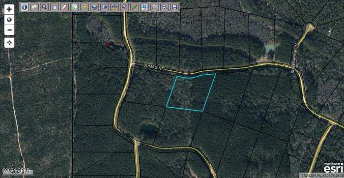 photo 4: Lots 54-55 Sumac Road, Westville FL 32464