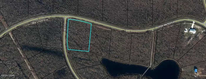 photo 8: 116 Widewater Circle, Wewahitchka FL 32465