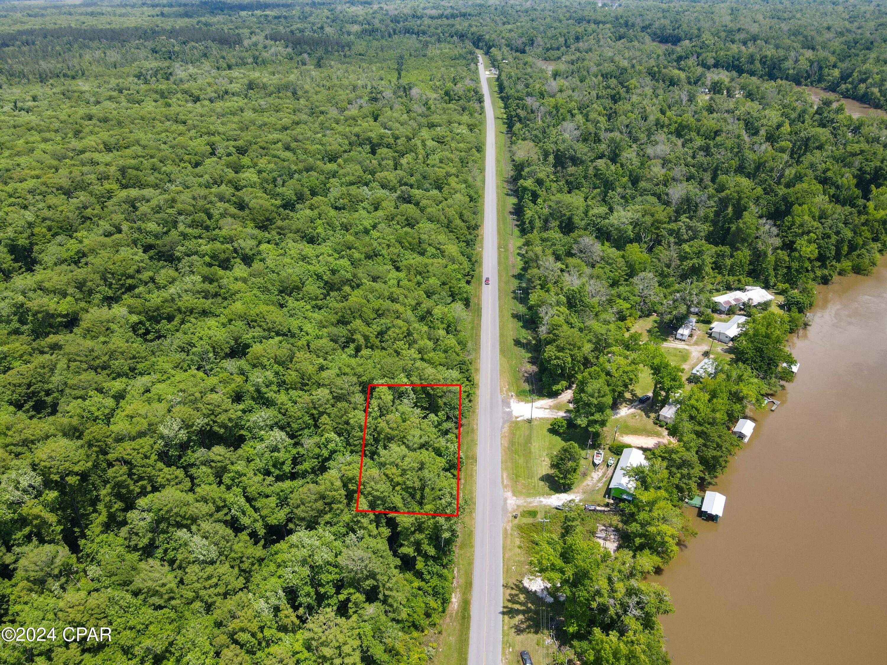 photo 3: TBD Lake Grove Road, Wewahitchka FL 32465