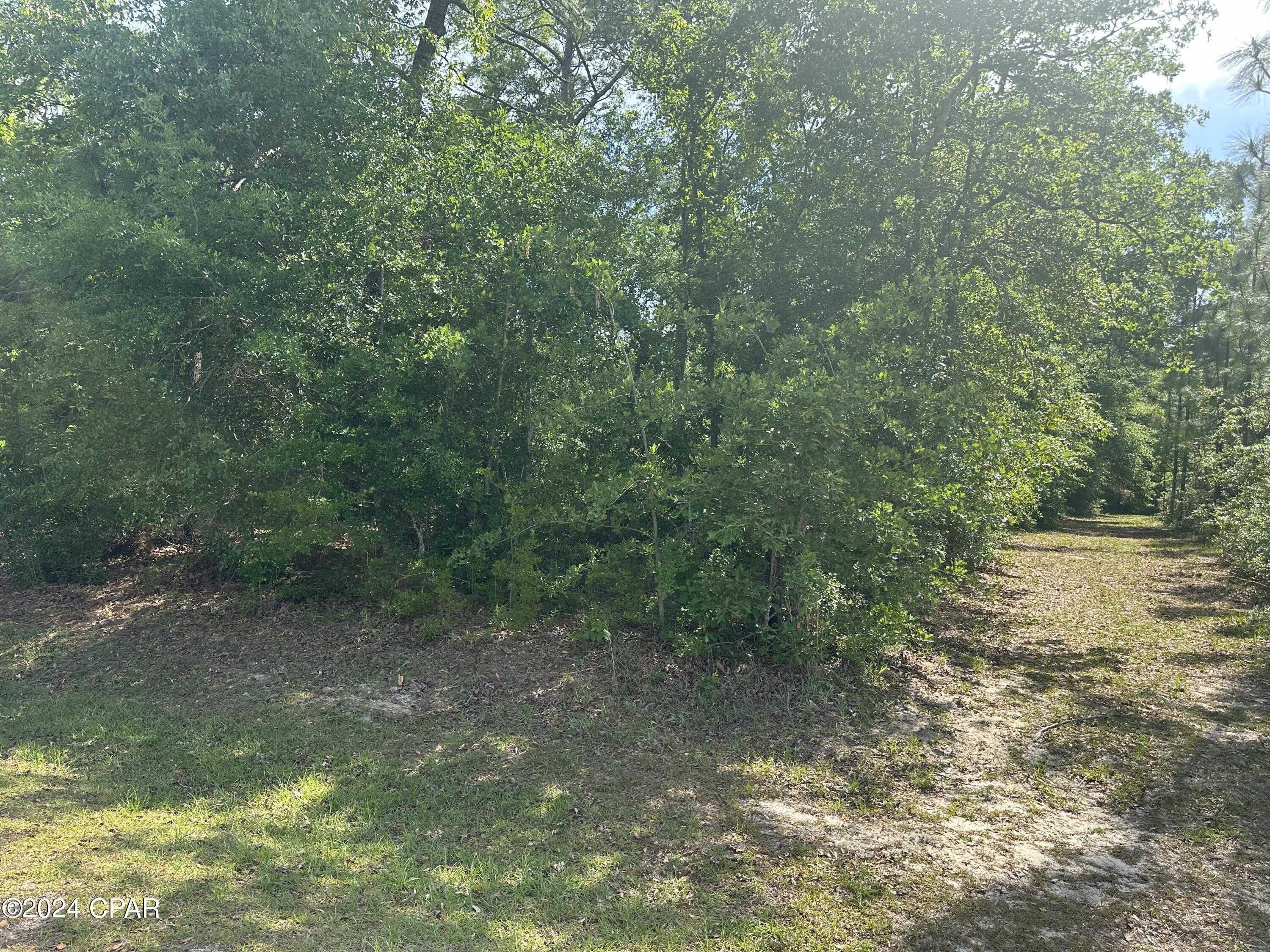 photo 2: Silverwood Drive, Greenwood FL 32443