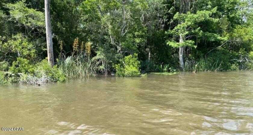 photo 1: Lot 5 Part of Atzberger Island, Vernon FL 32462