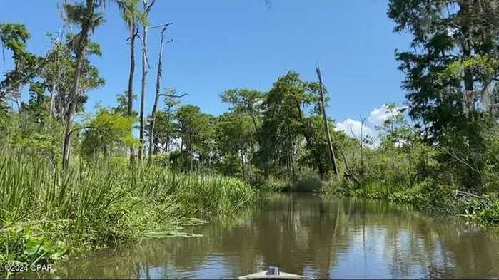 photo 2: Lot 5 Part of Atzberger Island, Vernon FL 32462