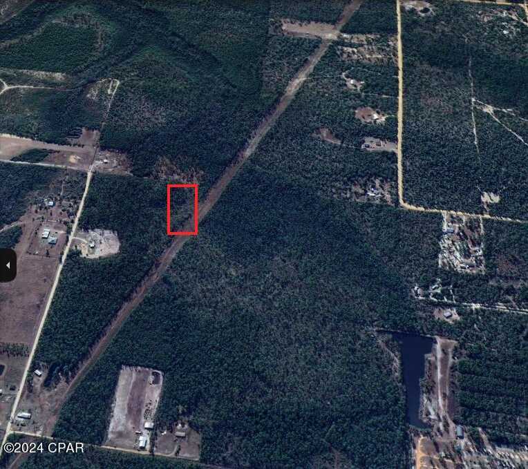 photo 3: 5 Acres Off Hwy 231 Fountain, Fountain FL 32438