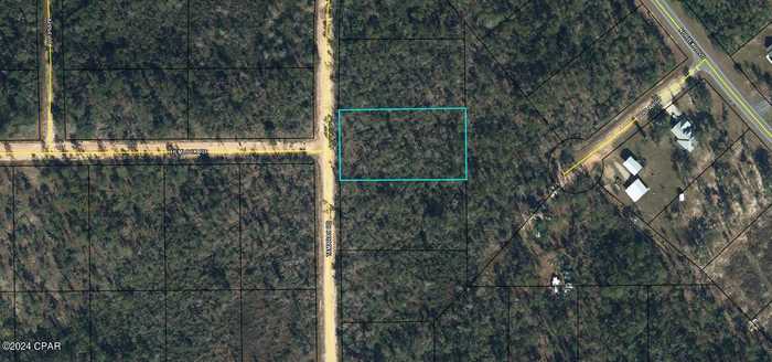 photo 1: Tamarac Road, Marianna FL 32448