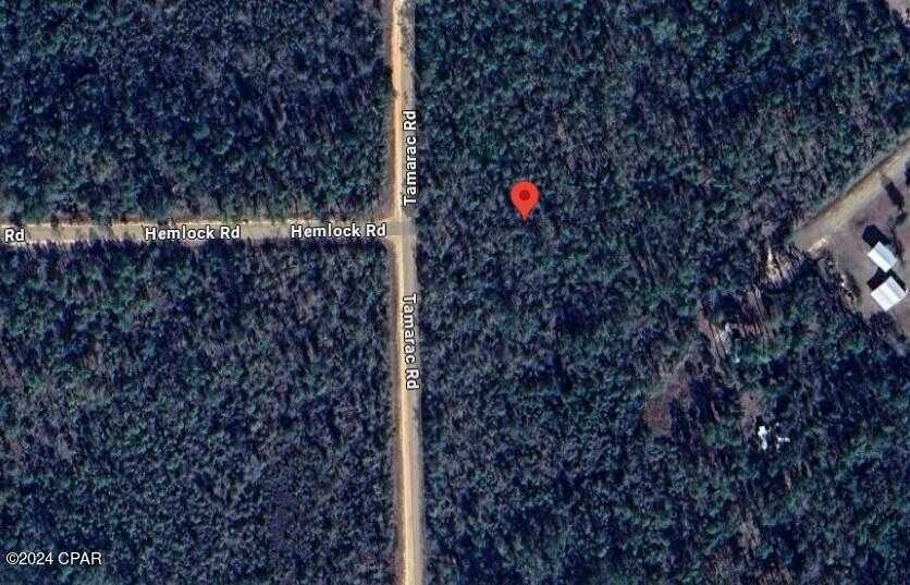 photo 2: Tamarac Road, Marianna FL 32448