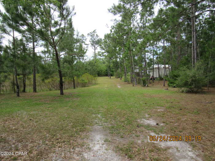 photo 1: 2963 NW County Road 274, Altha FL 32421