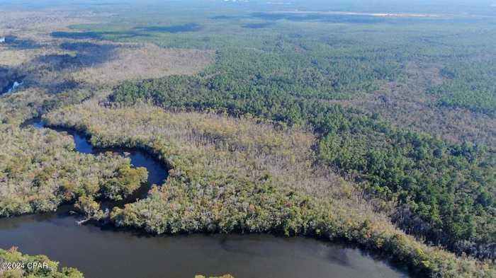 photo 2: 40 ACRES Bunker Creek Area, Vernon FL 32462