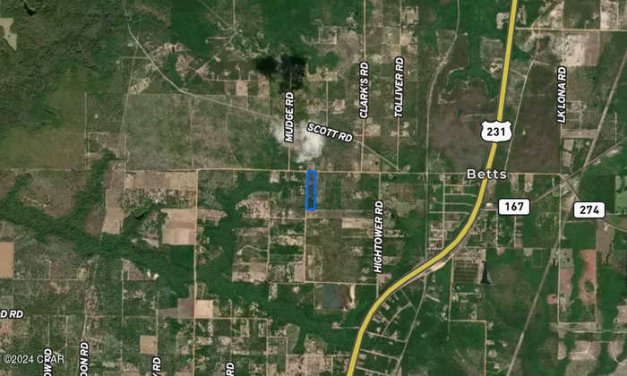 photo 6: Sweetwater Branch Road, Fountain FL 32438