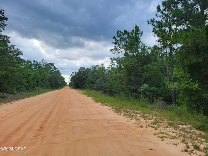 photo 3: Capulin Street, Alford FL 32420