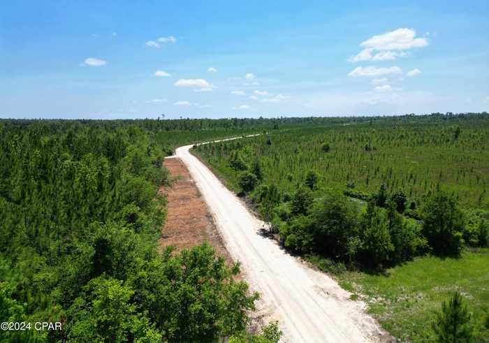 photo 2: Lot 3 NW KB Jones Road, Clarksville FL 32430