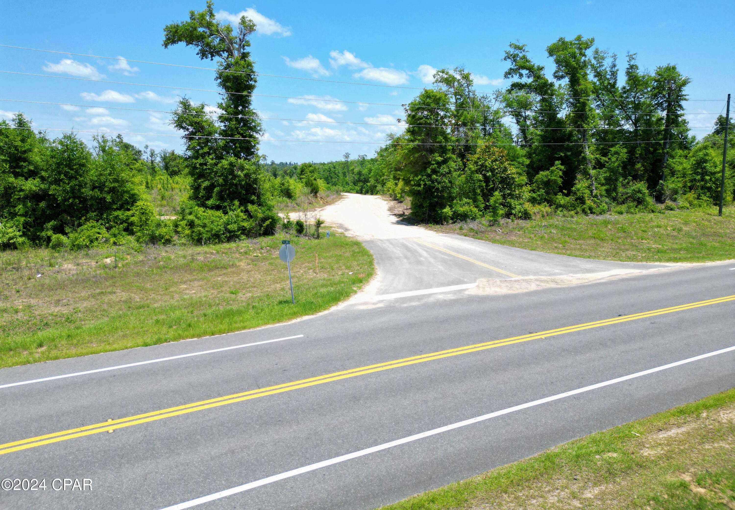 photo 3: Lot 3 NW KB Jones Road, Clarksville FL 32430