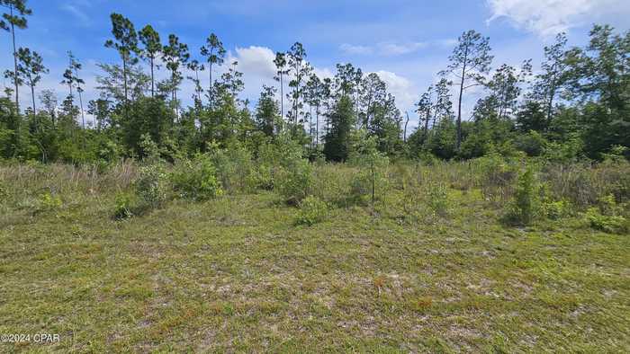 photo 2: 10701 E Highway 388, Youngstown FL 32466