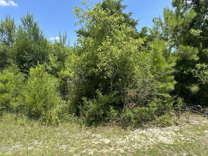 photo 1: 2284 Quail Drive, Marianna FL 32448