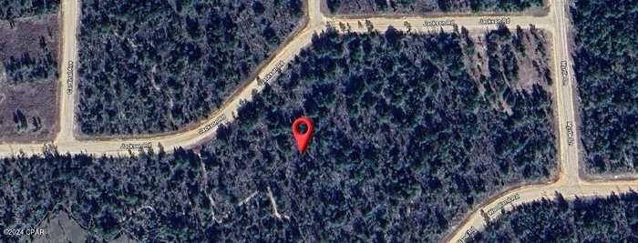 photo 5: Jackson Road, Marianna FL 32448